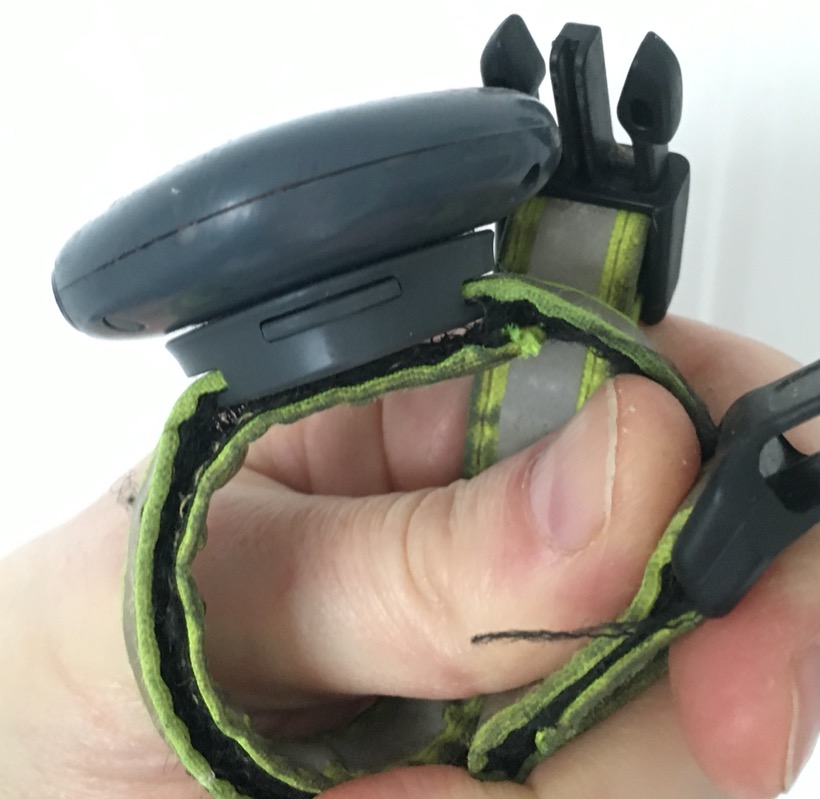 Side on view of the Findster unit on a dog collar