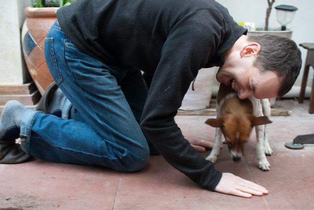 Richard laughing while Skitters, a tan-and-white Jack Russel figures out how to get a treat from under his hand (probably)