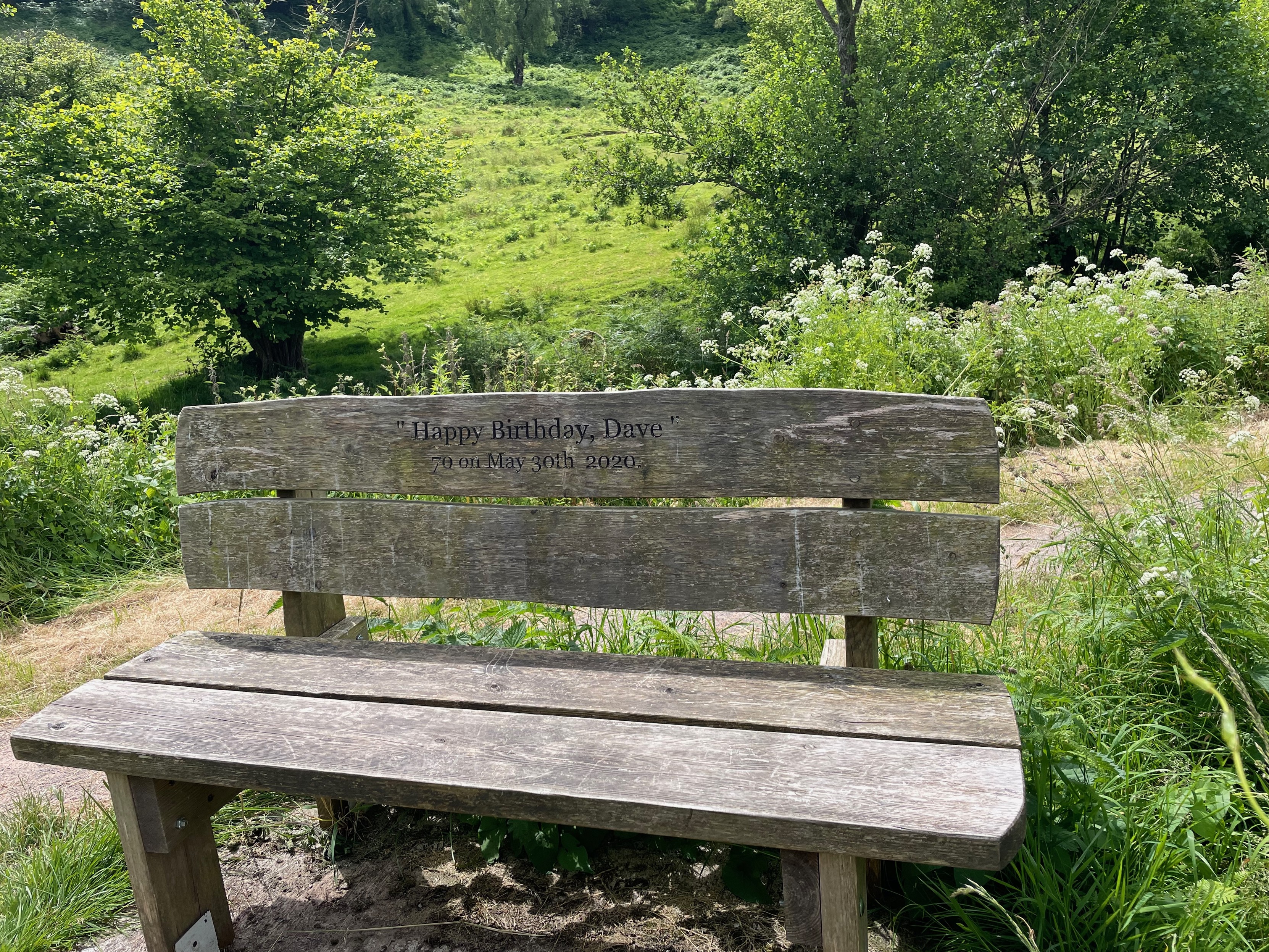 A wooden park bench. Behind it, a path and beyond a  grassy slope and trees. The carving on the bench reads “Happy Birthday Dave”